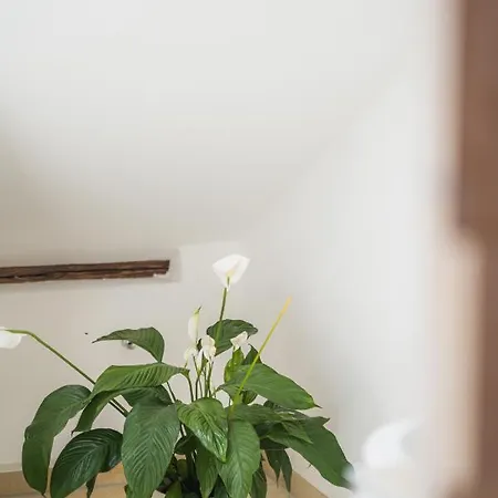 Apartmán Ambiente & Comfort Im Historischen Anwesen